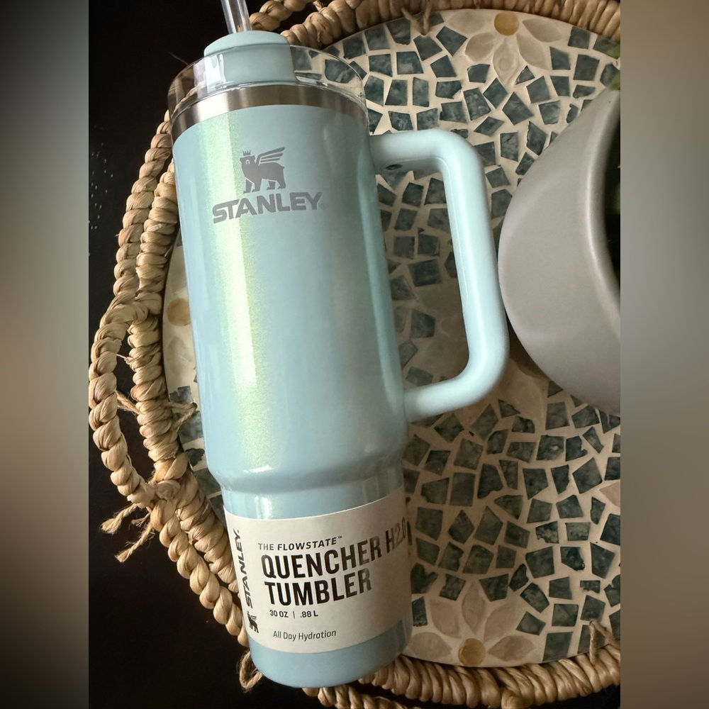 Stanley BLUEBERRY MILK 30oz Tumbler